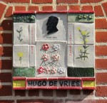 Hugo de Vries